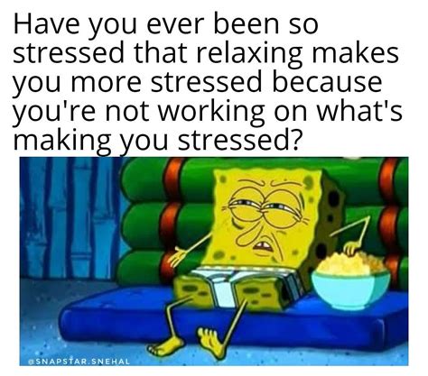 stress meme|funny stress memes.